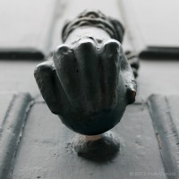 /album/macro/frida-dumont-img-5519-jpg/